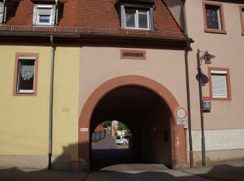 Tocht Te voet  - ZweiUfer Panoramaweg - Photo