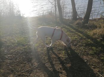 Tocht Stappen Saint-Symphorien-d'Ancelles - bord de saone - Photo