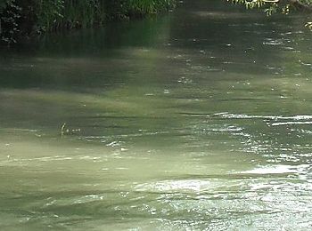 Tour Zu Fuß Morgano - Cammino del beato Enrico - Photo