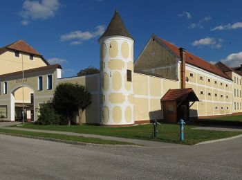 Excursión A pie Gemeinde Zwettl-Niederösterreich - Waldteichweg 5 - Photo