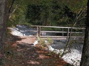 Randonnée A pied Rasen-Antholz - Rasun-Anterselva - Seerundweg - Photo