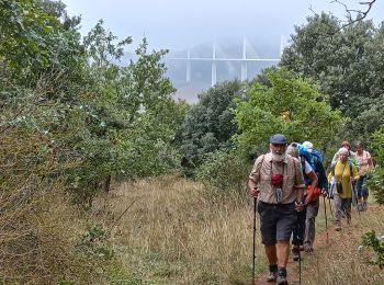 Randonnée Marche Comprégnac - Peyre (Millau) - Photo