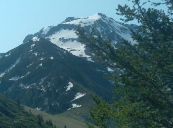 Tour Wandern Allevard - boucle arrête de l'évêque, les plagnes, col de l'occiput  - Photo