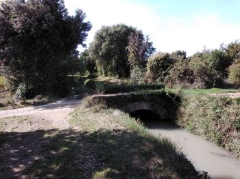 Randonnée Marche Sarrians - garrigues de sarrians  - Photo