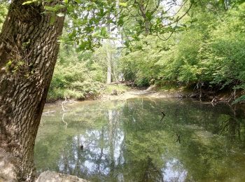 Randonnée A pied Neupotz - Fischerweg - Photo