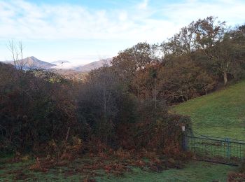 Tocht Stappen Urdazubi/Urdax - Gorospil depuis Dantcharia - Photo