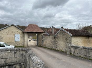 Randonnée Marche Ville-sous-la-Ferté - Clairvaux 14 km - Photo