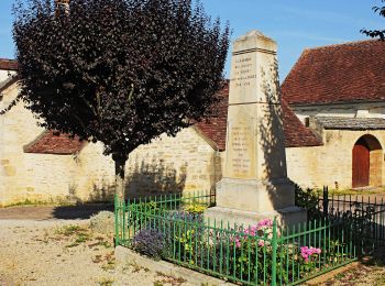 Excursión A pie Senailly - Sentier de l'Armançon - Photo