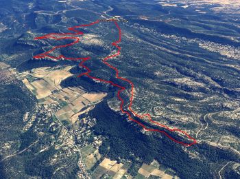 Trail Walking Roquefort-la-Bédoule - Grand Caunet, le Montounier - Photo