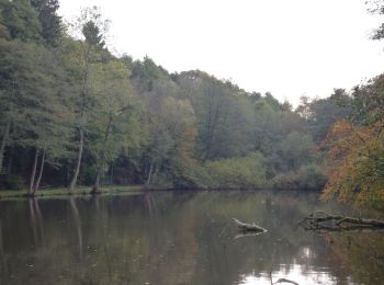 Percorso A piedi Fosses-la-Ville - Promenade_du_diable_10,5km - Photo