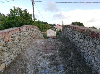 Tour Zu Fuß Castelnuovo Magra - M.no del Piano - Castelnuovo Magra - Casala - Photo