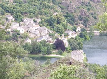 Excursión Bici de montaña Villefort - Autour du lac55⁵66⁶ - Photo