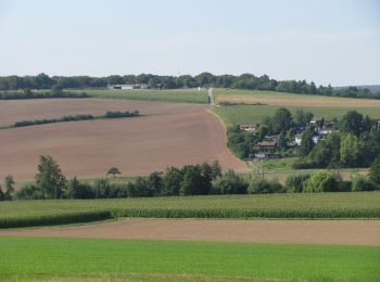 Tocht Te voet Hofgeismar - Rund um den Schöneberg - Photo