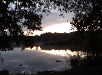 Tocht Stappen Gennes-Val-de-Loire - étang de joreau - Photo