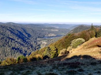 Tour Wandern Xonrupt-Longemer - 2021-10-10 Marche St Die Metzeral Jour 3 - Photo