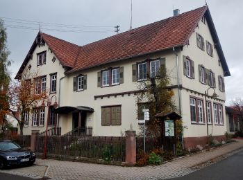 Tocht Te voet Wildberg - Gültlingen - Neubulach - Photo