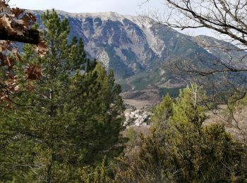 Tocht Stappen Brantes - petit brantes - Photo