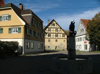 Tocht Te voet Argenbühl - Wanderung Panoramahöhenweg durch Wald und Flur (Argenbühl: 8) - Photo