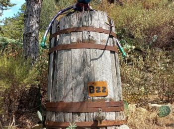 Percorso Marcia Rousset-les-Vignes - Rousset les Vignes - Photo