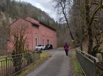 Randonnée Marche Saint-Claude - Cascade du Flumen - Photo