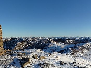 Tour Zu Fuß  - Jødestadfjellet - Photo