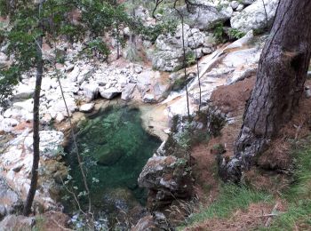 Tocht Stappen Venaco - GR20 Etape 8 Petra Piana Onda - Photo