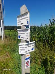 Percorso Marcia Tenneville - marche ADEPS à  Erneuville. - Photo