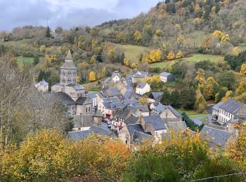 Percorso Marcia Orcival - La Roche Branlante  - Photo