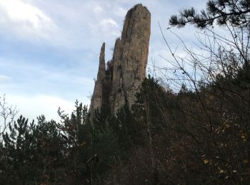 Percorso Marcia Saint-Benoit-en-Diois - montagne de Faraud - Photo