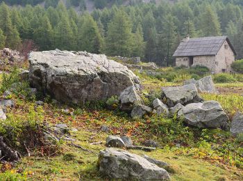 Tocht Stappen Entraunes - Estenc - Circuit de la Sanguinière - Photo