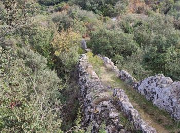 Trail Walking Sernhac - Sernhac aqueduc tunnels Pont  - Photo