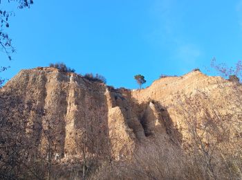 Randonnée Marche Ille-sur-Têt - puig pedros  - Photo