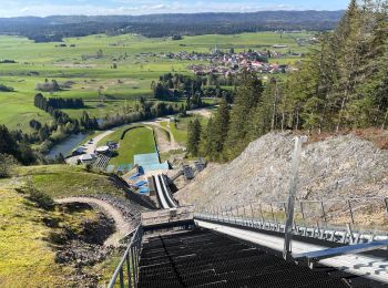 Trail Walking Chaux-Neuve - Balade du parc polaire - Photo