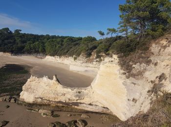 Percorso Marcia Meschers-sur-Gironde - estuaire - Photo