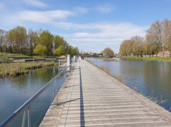 Randonnée Marche Strasbourg - La ceinture verte de Strasbourg - Photo