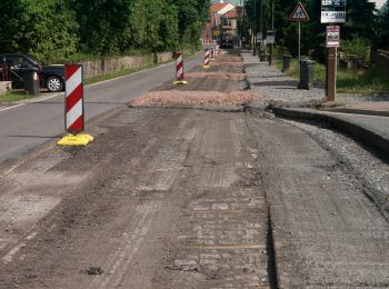 Tour Zu Fuß Kelbra (Kyffhäuser) - Grenzsteinweg - Photo