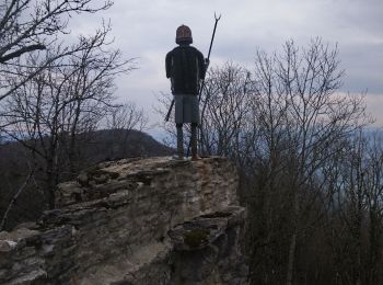 Trail Walking Vescles - rando des crêtes autour de Boutavant  - Photo