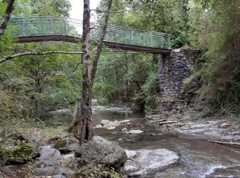 Excursión Senderismo Saint-Gineys-en-Coiron - Claduégne - Photo