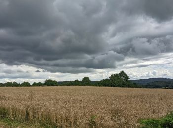 Trail Walking Champeau-en-Morvan - boucles autour de champeau en morvan  - Photo