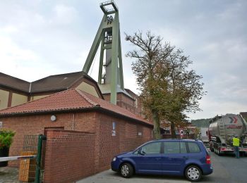 Tocht Te voet Oebisfelde-Weferlingen - Lappwald Rundwanderweg 14 - Photo