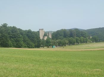 Randonnée Marche Gerolstein - Eifelsteig Gerolstein - Photo