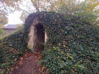 Trail Walking Noisy-le-Grand - Bois Saint Martin  - Photo