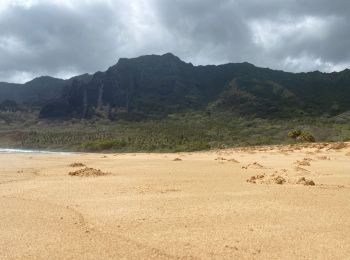 Tour Wandern Nuku Hiva - Haatuatua - Photo