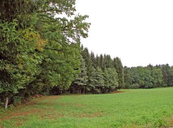 Randonnée A pied Sankt Stefan ob Stainz - GenussSchilchern da Östliche Runde - Photo