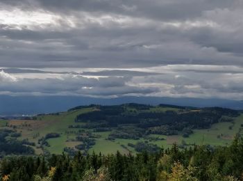 Tocht Te voet Świerzawa - (yellow) - Photo