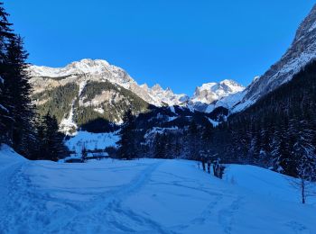 Percorso Racchette da neve Pralognan-la-Vanoise - Pont de Gerlon - Photo