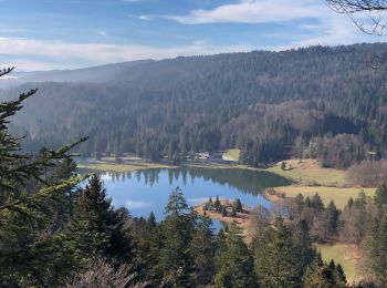 Percorso A piedi Échallon - Autour du lac Genin - Photo