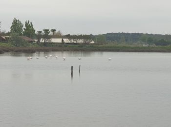 Percorso Sentiero Vias - autour de Vias plage - Photo