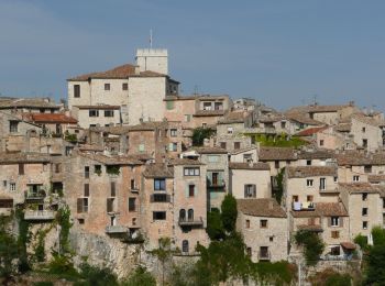 Tocht Te voet Tourrettes-sur-Loup - Circuit de Pié Martin - Photo