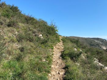 Tocht sport Vence - Col de vence 06 - Photo